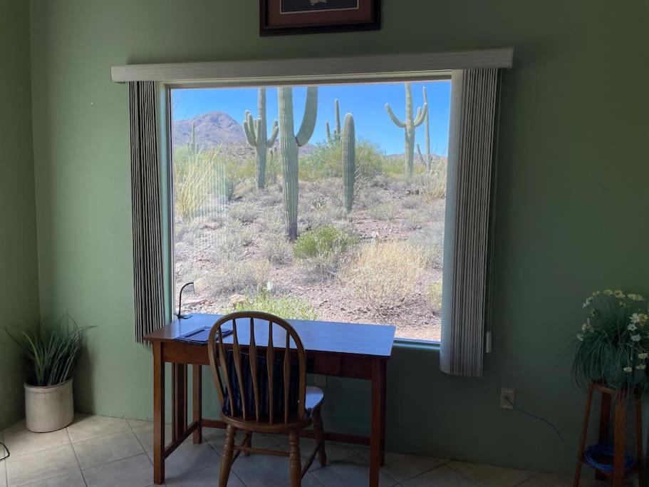 Tucson Mnt Foothills Saguaro Bliss Villa Exterior photo