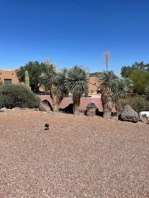 Tucson Mnt Foothills Saguaro Bliss Villa Exterior photo